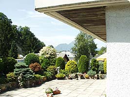 Planung und Bepflanzung von Dachterrassen Salzburg, Kärnten, Steiermark und Oberösterreich
