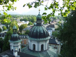 baumsachverständiger baumpflege gartengestaltung salzburg