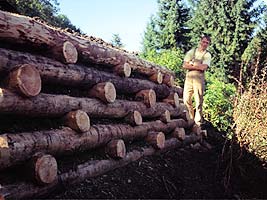 Holzbau, Gartengestaltung in Kärnten, Salzburg, Oberösterreich und der Steiermark