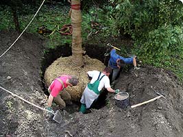 Baumsachverständiger Salzburg, Gartengestaltung Thausing