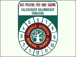 Baumsicherung in Wohngebieten