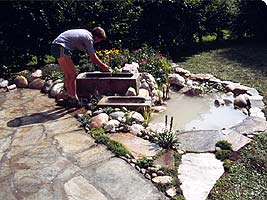 Biotop, Gartenteich, Gartengestaltung durch Wasser Oberösterreich, Salzburg, Steiermark und Kärnten